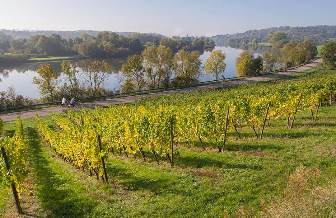 Domaine La Buissonniere - Maison d’hôtes de charme près de Metz en Moselle, Lorraine, France - A découvrir aux alentours - Routes des Vins de Moselle