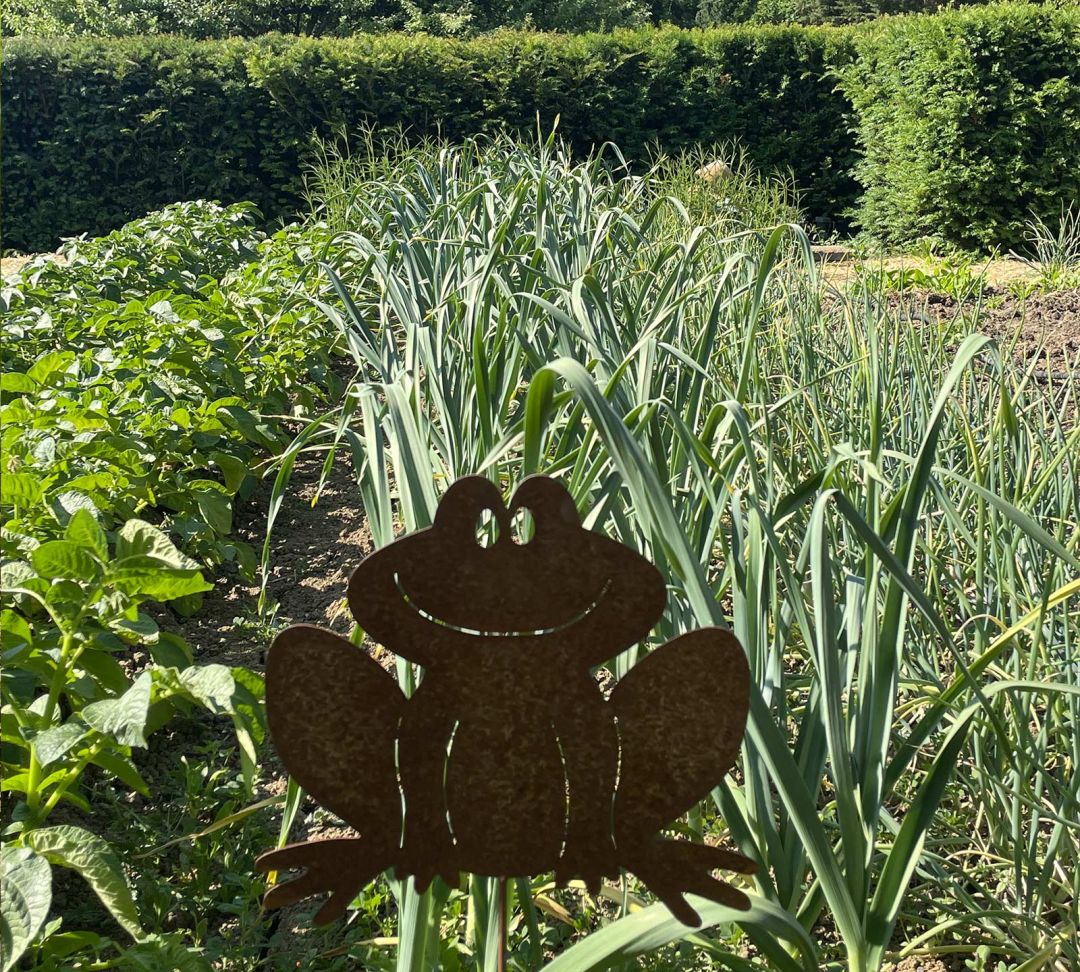 Domaine La Buissonnière - Maison d’hôtes de charme près de Metz en Moselle, Lorraine, France - Les informations pratiques - Potager