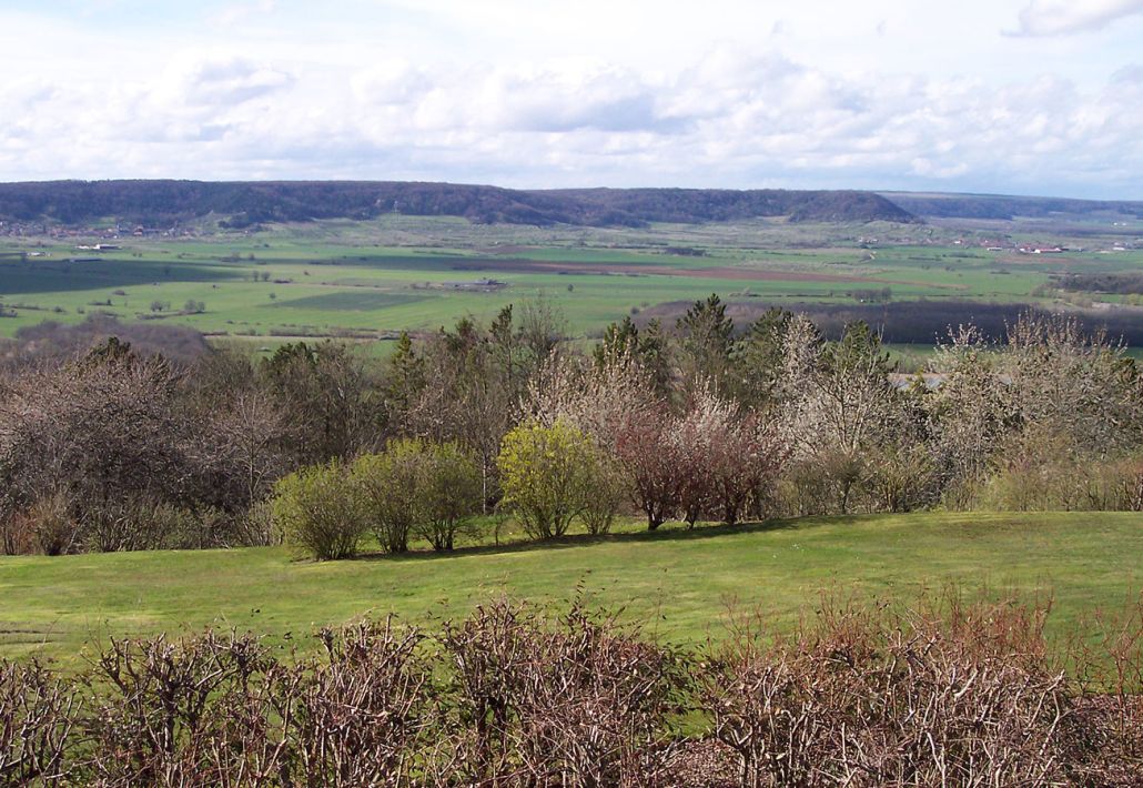 Domaine La Buissonnière - Maison d’hôtes de charme près de Metz en Moselle, Lorraine, France - Campagne aux alentours